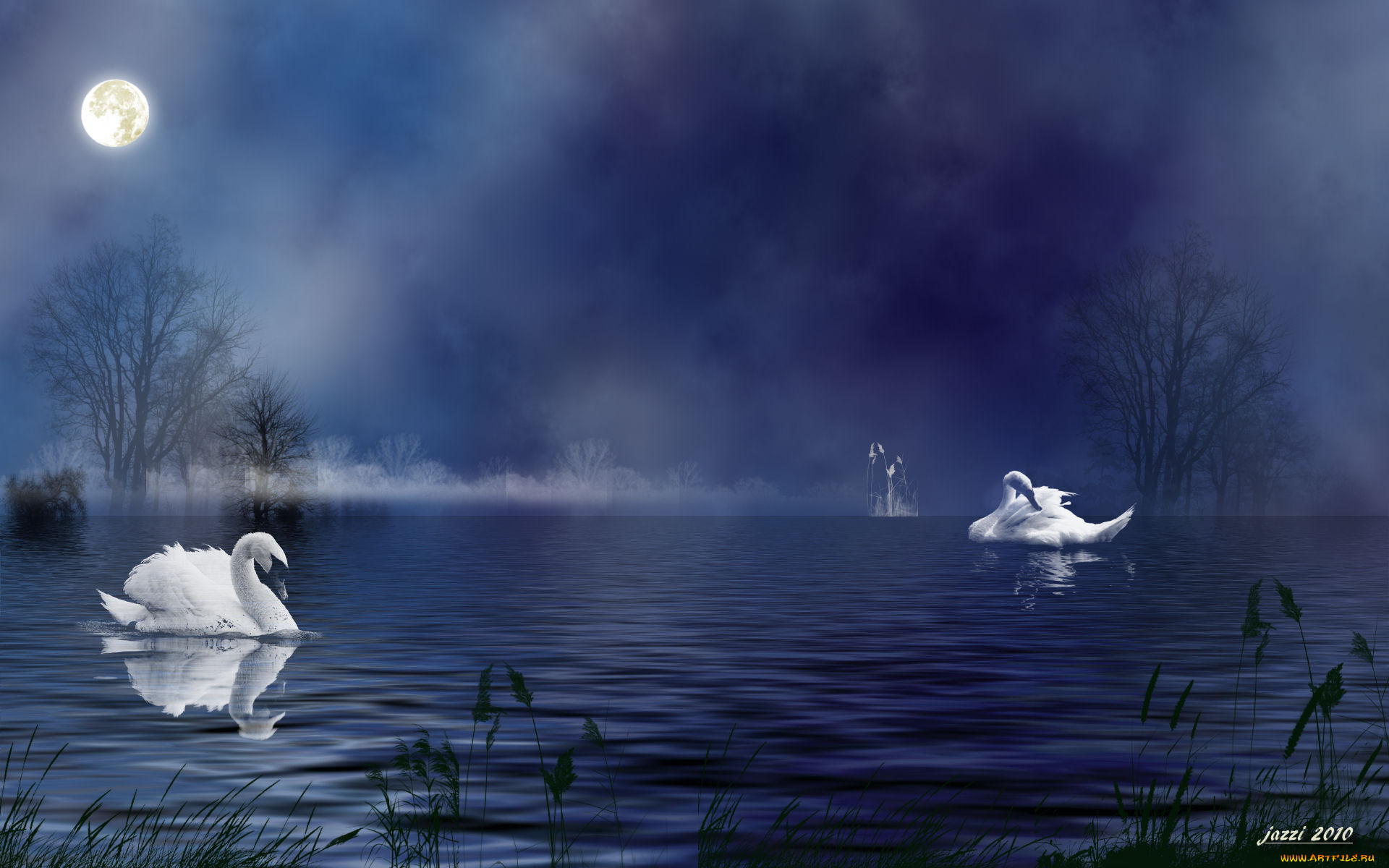 3, , animals, 